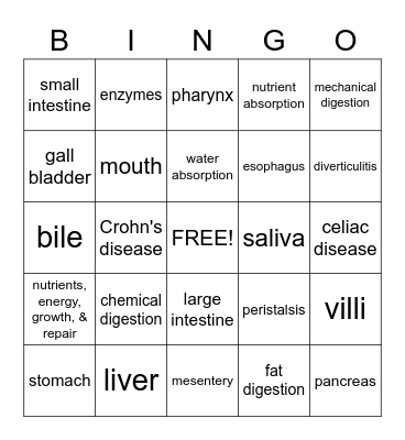 Digestive System Bingo Card