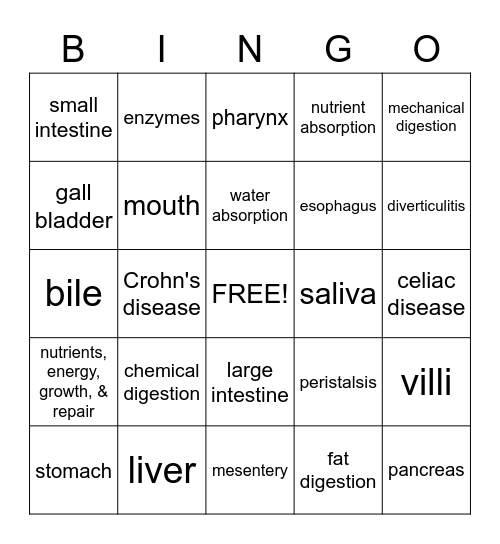 Digestive System Bingo Card