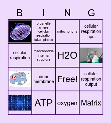 Audena {Cellular Respiration} Bingo Card