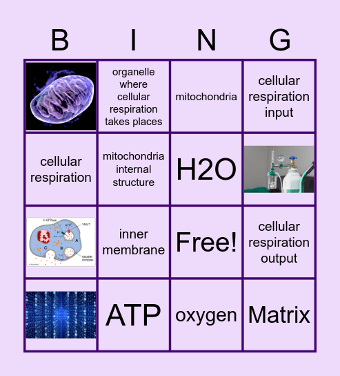 Audena {Cellular Respiration} Bingo Card