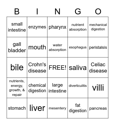 Digestive System Bingo Card