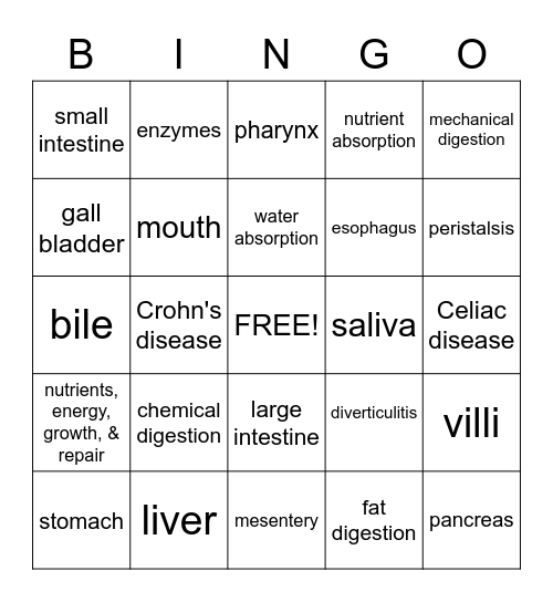 Digestive System Bingo Card