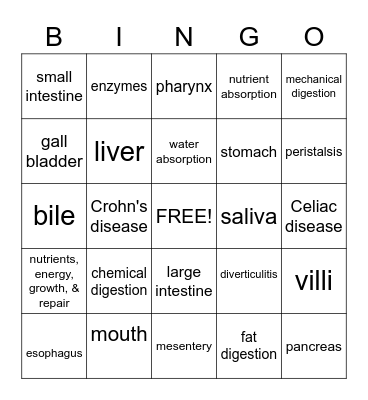 Digestive System Bingo Card