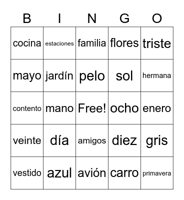 Spanish I Vocabulary Review Bingo Card
