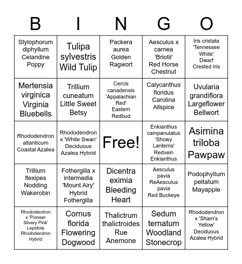 Jenkins Scavenger Hunt Bingo Card
