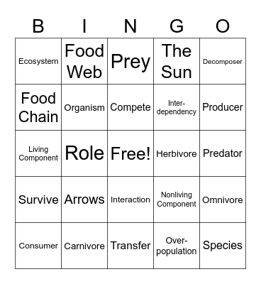 Ecosystems and Food Chains Bingo Card