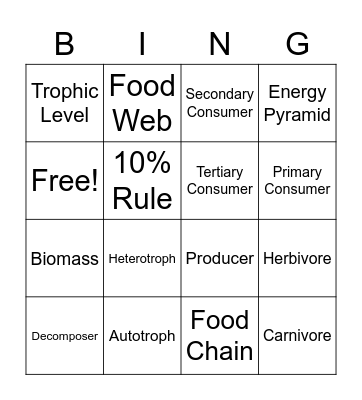 Energy Flow Bingo Card