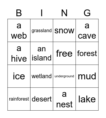 NATGEO 3 habitats Bingo Card