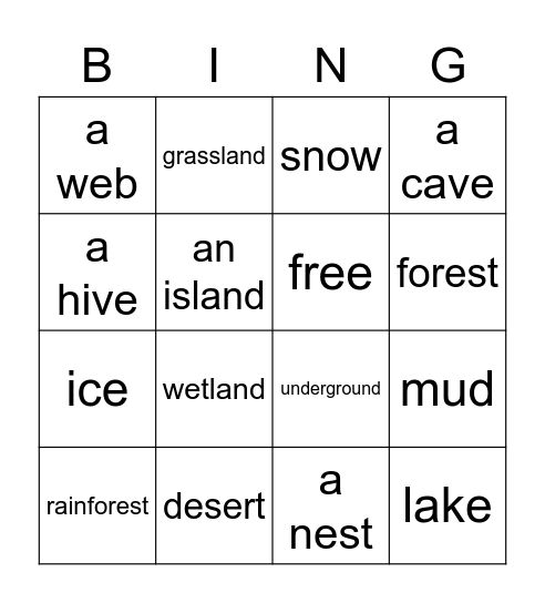 NATGEO 3 habitats Bingo Card