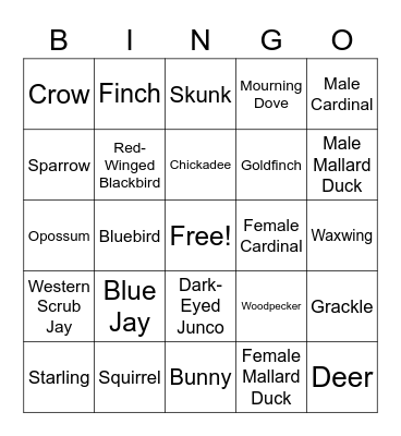 Birds and Small Mammals Bingo Card