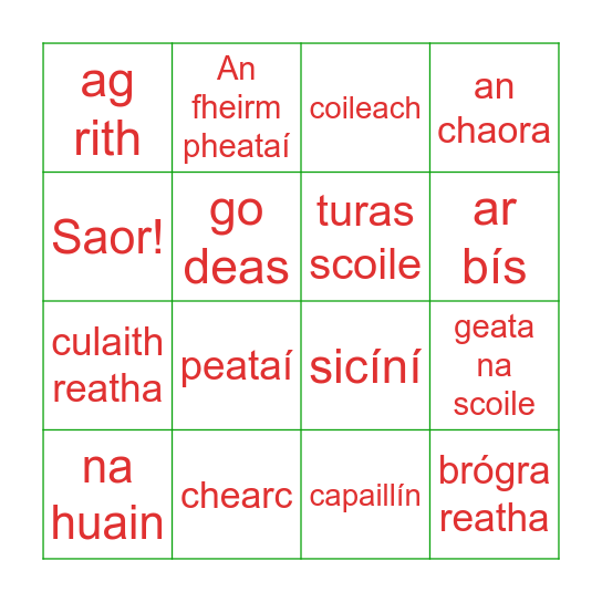 Turas Scoile Bingo Card