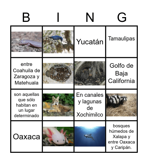 Animales Endémicos de México Bingo Card