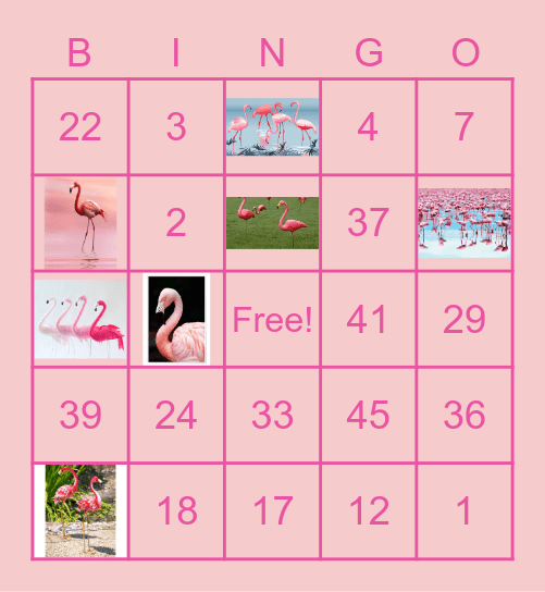 Flamingo Bingo! Bingo Card