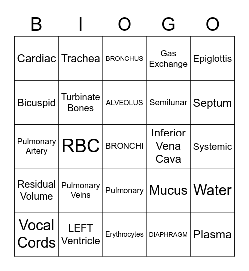 Bio-GO for Respiratory and Circulatory Systems Bingo Card