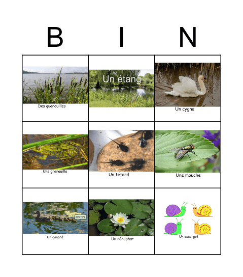 L'étang Bingo Card