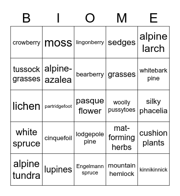 Alpine Tundra Bingo Card