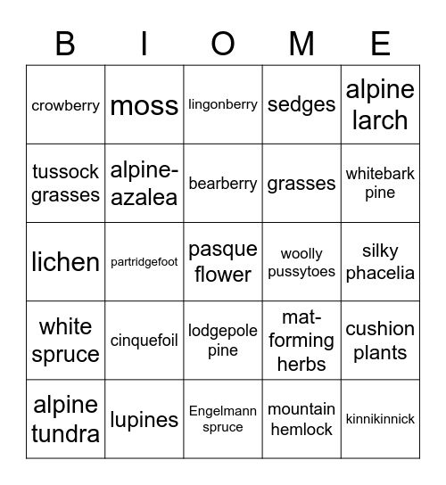 Alpine Tundra Bingo Card