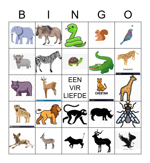 WILDTUIN BINGO Card