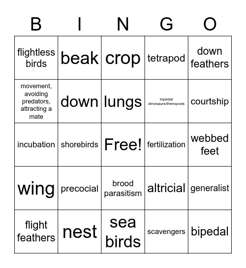 18.2 Aquatic Birds Bingo Card