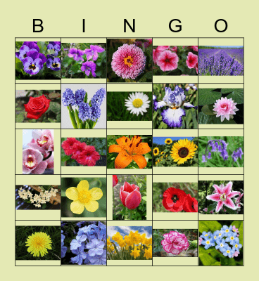 Earth Day Bingo Card