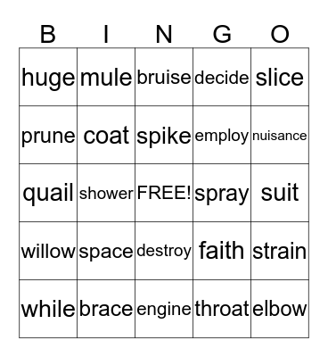 2B Final E and Common Vowel Teams Bingo Card