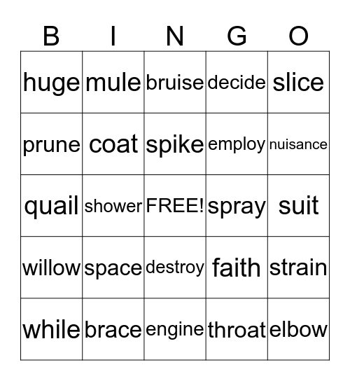 2B Final E and Common Vowel Teams Bingo Card