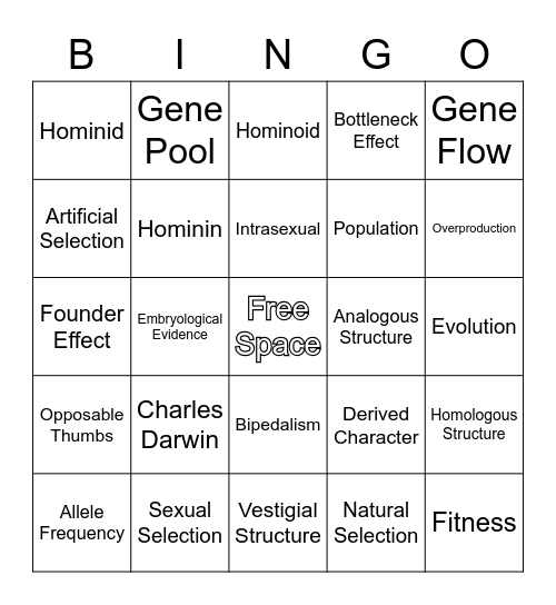 Hominid Evolution Bingo Card