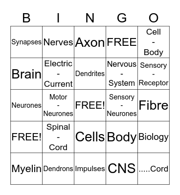 THE NERVOUS SYSTEM Bingo Card