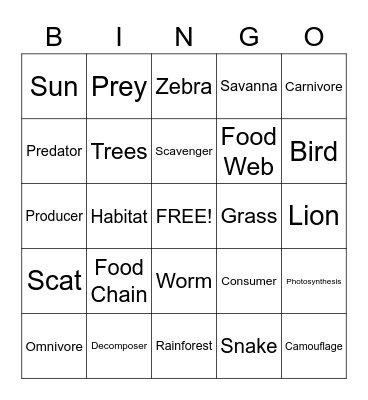 Food Web Bingo Card