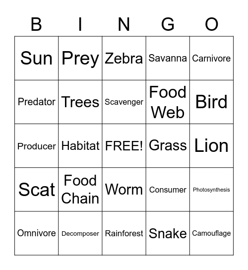 Food Web Bingo Card