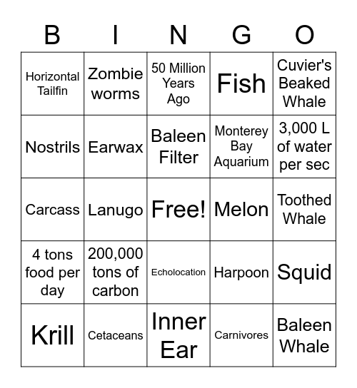 A Whale of a Birthday! Bingo Card