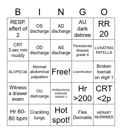 PHYSICAL EXAM Bingo Card