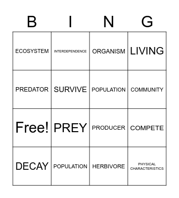 INTERACTIONS Bingo Card