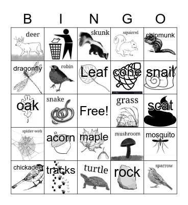 Nature Bingo Card