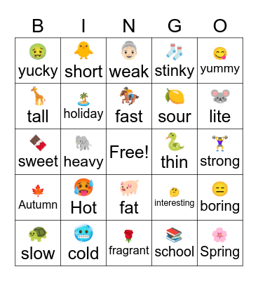 Opposites Bingo Card