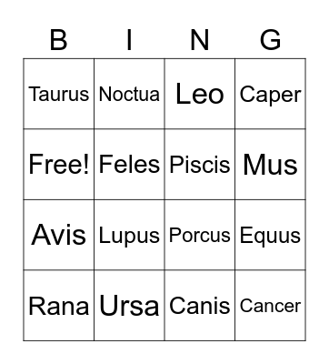 Latin Week Animal Bingo Card