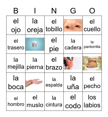 El cuerpo Bingo Card