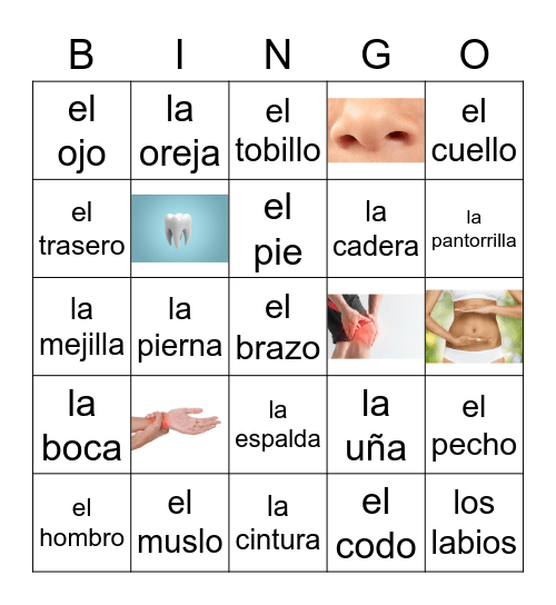 El cuerpo Bingo Card