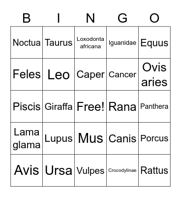 Animal Wednesday Bingo Card