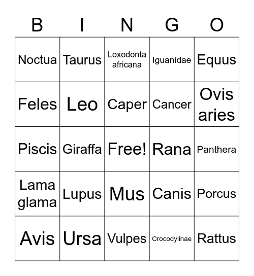 Animal Wednesday Bingo Card