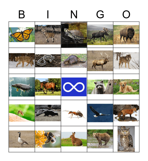 Michif Bingo Card