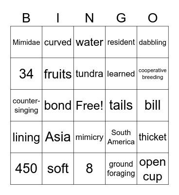 Mimidae Bingo Card