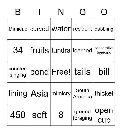 Mimidae Bingo Card