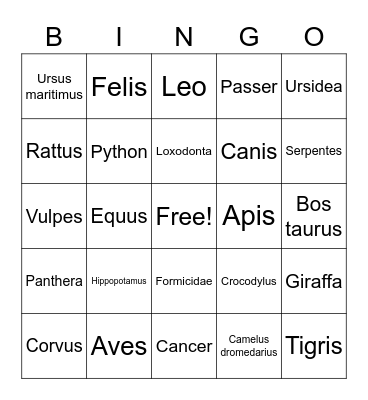 Wild Animal Wednesday Bingo Card