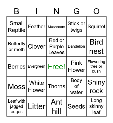 Nature Hunt Bingo Card