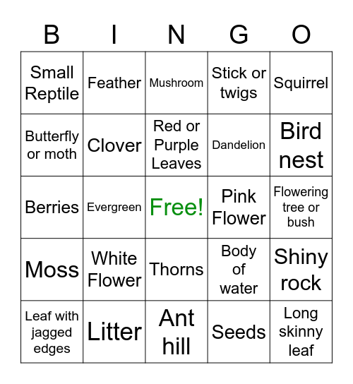 Nature Hunt Bingo Card