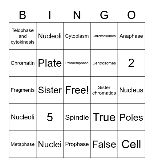 Mitosis Review Bingo Card