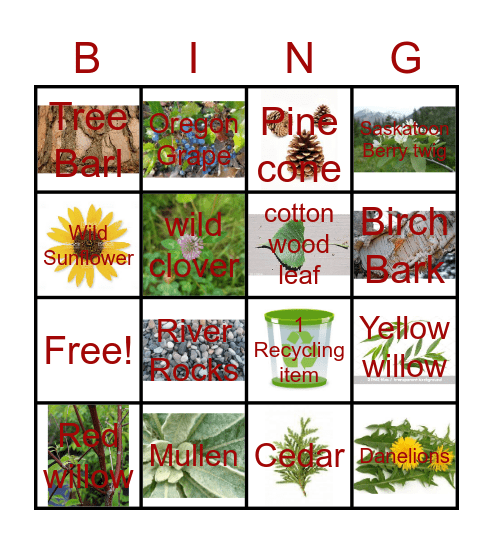 Scavenger Hunt Bingo Card