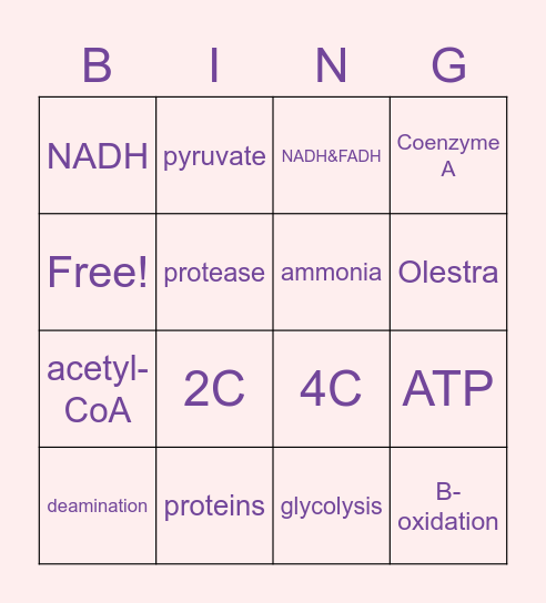 LIPID/ PROTEIN METABOLISM Bingo Card