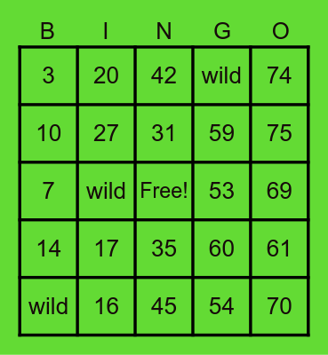 Parkvue Gone Wild!!! Bingo Card